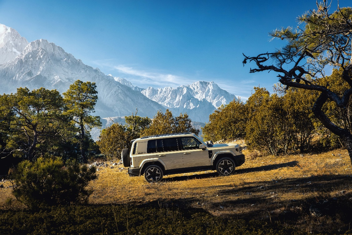 1772526146479072.png 图片6.png